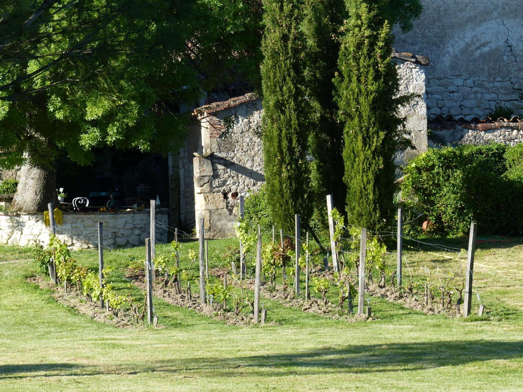 Domaine De La Monestarie - Teritoria Otel Bernac  Dış mekan fotoğraf