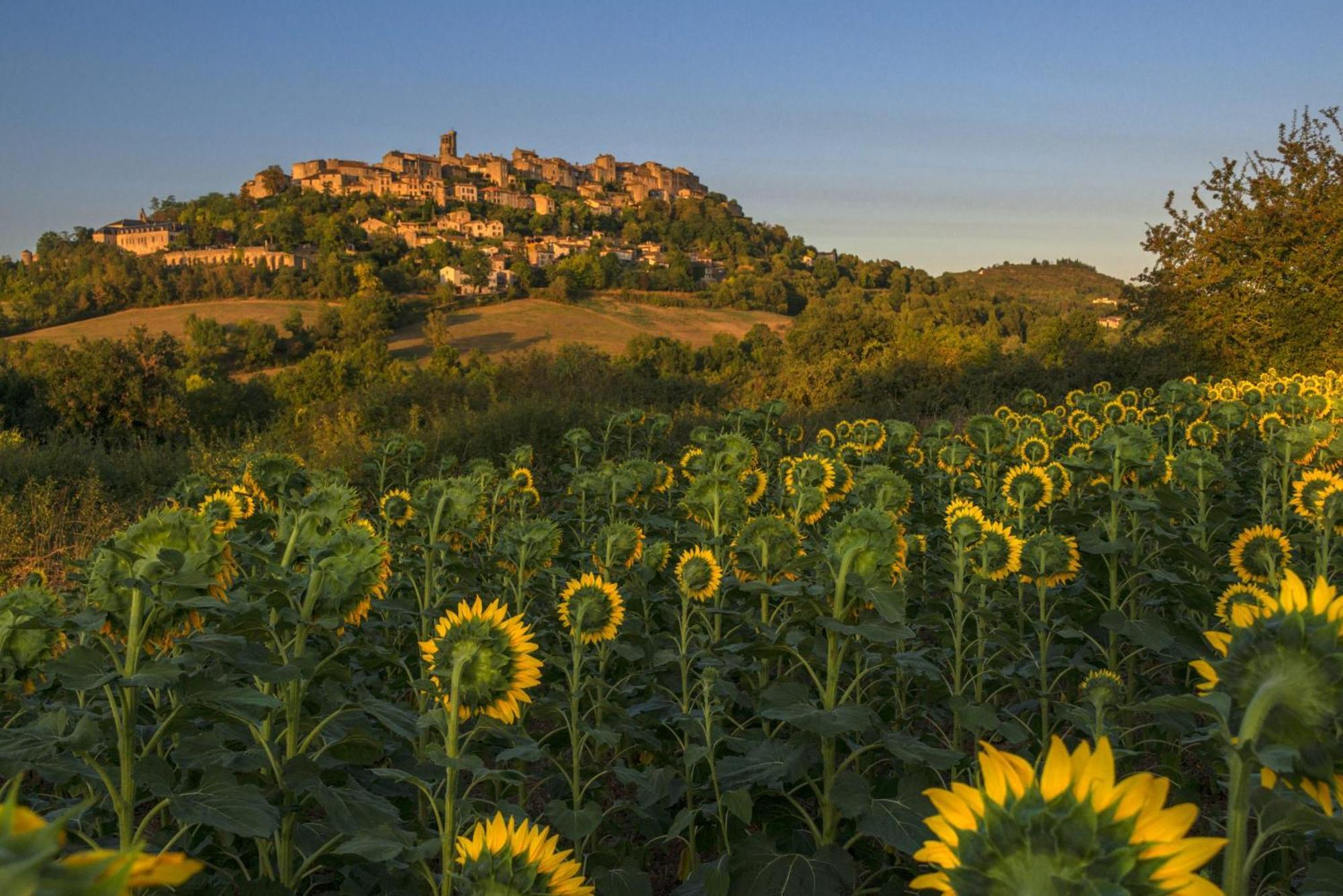 Domaine De La Monestarie - Teritoria Otel Bernac  Dış mekan fotoğraf